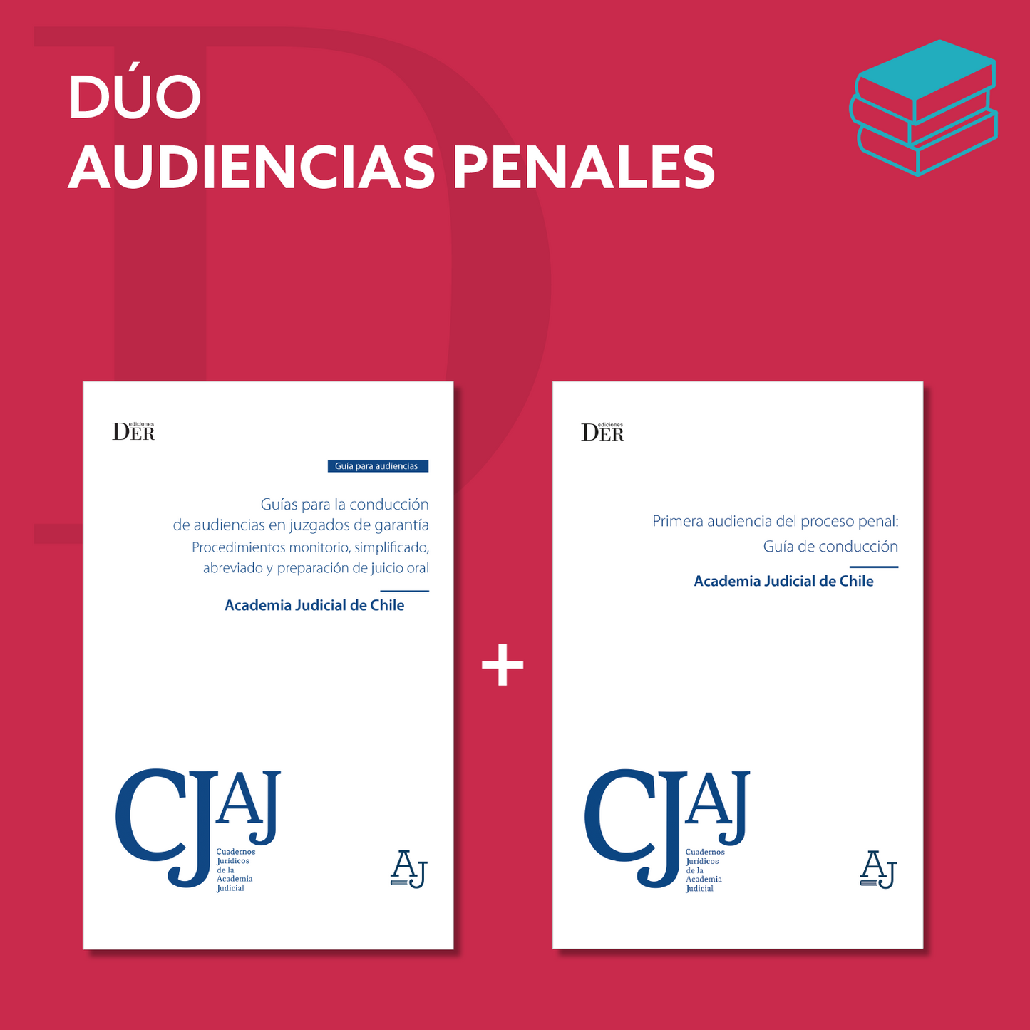 Dúo Audiencias Penales