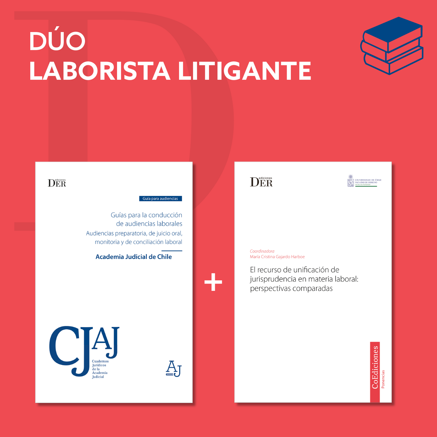 Dúo Laboralista Litigante