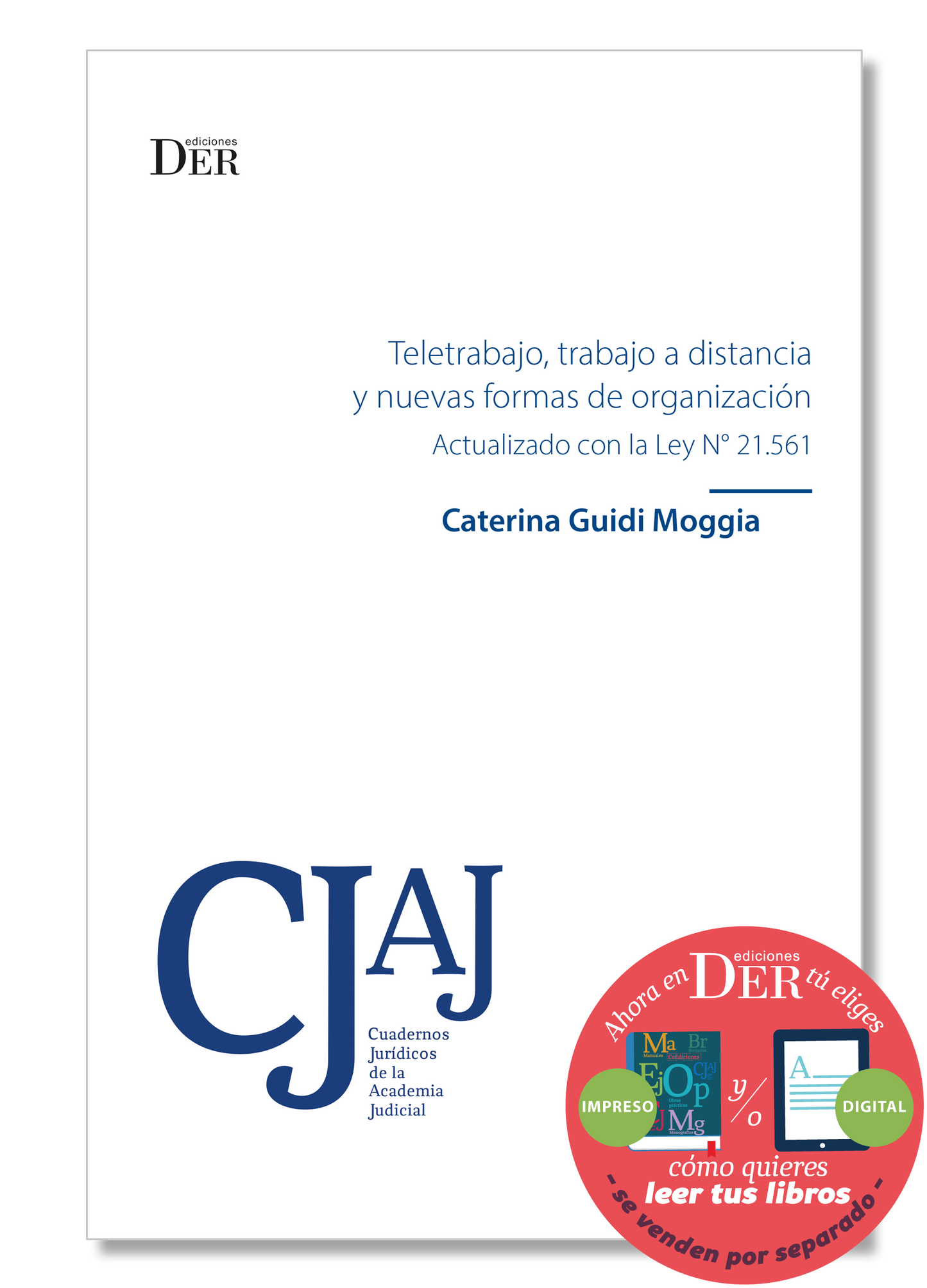 Teletrabajo, trabajo a distancia y nuevas formas de organización. Actualizado con la Ley Nº 21.561